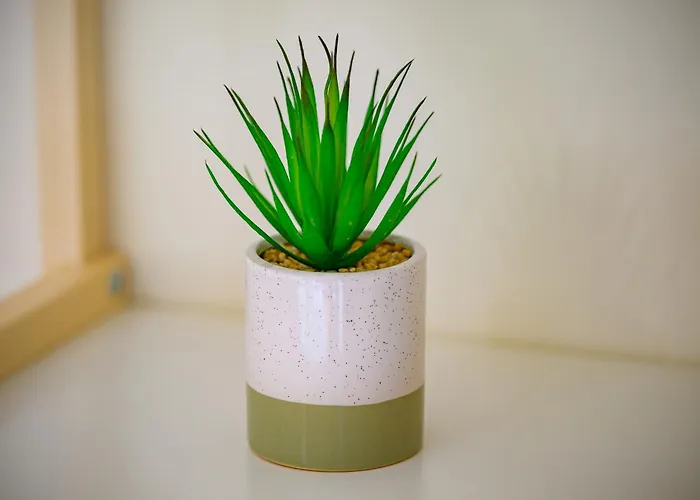 アパート Theasea Chalkís