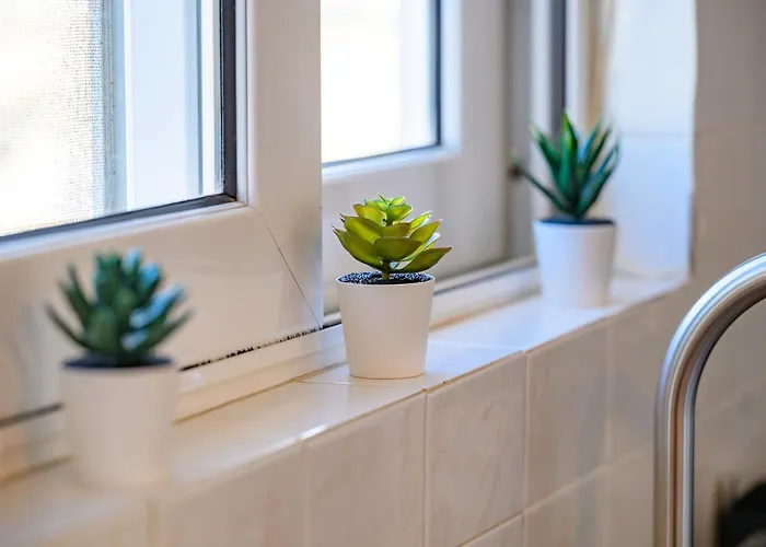 アパート Theasea